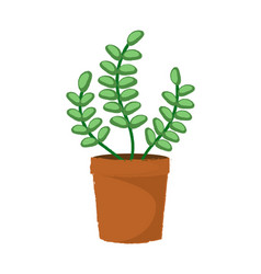 Green Succulent Plant In A Braun Pot