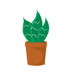 Green Succulent Plant In A Braun Pot