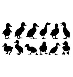 Duck Silhouettes