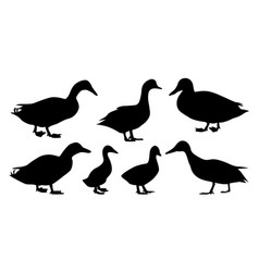 Duck Silhouettes