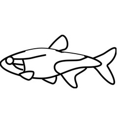 Tetras Aquarium Fish Line Icon