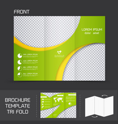 Brochure Template Tri Fold