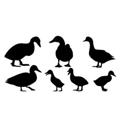 Duck Silhouettes