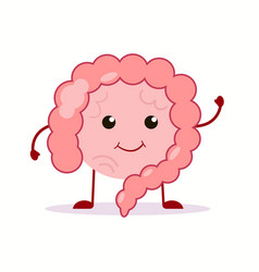 Strong Healthy Happy Intestine Gut Character