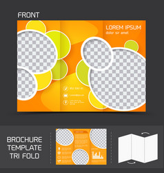 Brochure Template Tri Fold