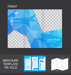 Brochure Template Tri Fold