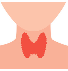 Healthy Thyroid Gland On Neck Silhouette Diagram