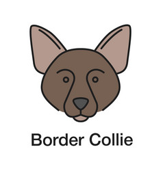 Border Collie Color Icon