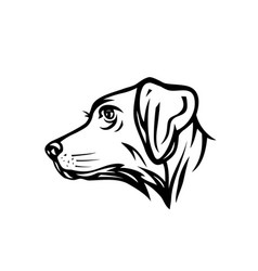 Dog Face Drawing