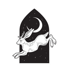 Jackalope Hare With Horns Folklore Magic Animal