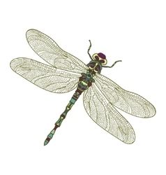 Mosaic Stylized Dragonfly