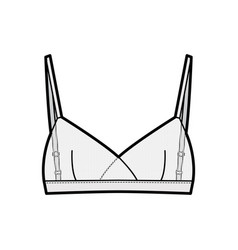 Sheer Bralette Lingerie Technical Fashion