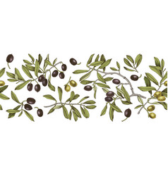 Olives Seamless Border Floral