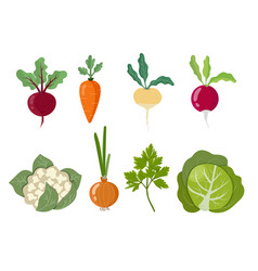 Set Colorful Home Grown Vegetables Isolated