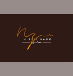 Initial Nz Signature Logo Template Hand Drawn