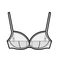 Sheer Bra Lingerie Technical Fashion