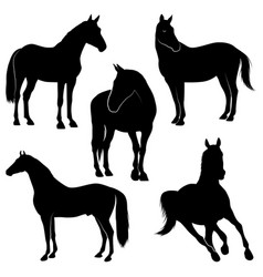 Animal Horse Running Silhouettes