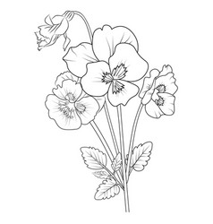 Outline Pansy Flower Drawing Pansy Tattoo Sticker