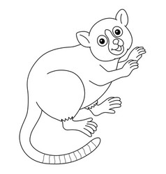 Mouse Lemur Animal Isolated Coloring Page For Kids