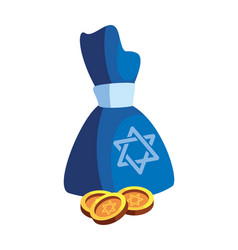 Hanukkah Bag Coins