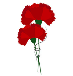 Red Poppies Isolated On White Funeral Flowers