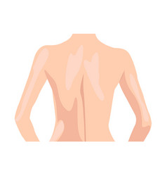 Female Back Flat Icon Colored Element From Body