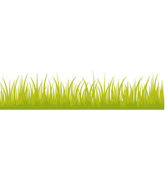 Grass Line Seamless Isolated On White Background