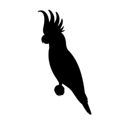 Silhouette Of A Cockatoo Parrot