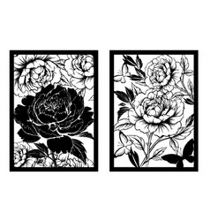 Black And White Peonies Flowers Monochrome