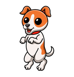 Cute Jack Russel Dog Cartoon