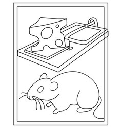 Rat Trap