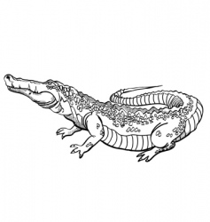 Alligator Vector Images (over 3,300)