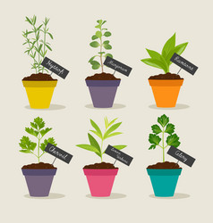 Herb Garden With Pots Of Herbs Set 3