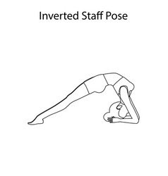 Inverted Staff Pose Yoga Workout Outline Healthy