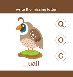 Write The Missing Letter