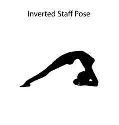 Inverted Staff Pose Yoga Workout Silhouette