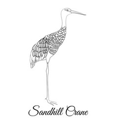 Sandhill Crane Outline Coloring