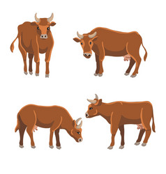 Drawing Brown Cows