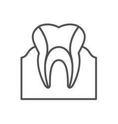 Dental Canals Line Outline Icon