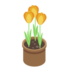 Pot Crocus Icon Isometric Style