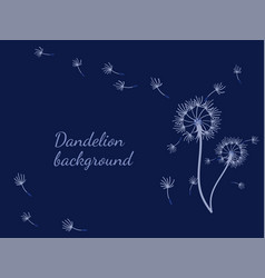 Abstract Dandelion Background For Design The Wind