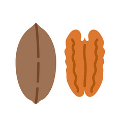 Pecan Icon Nuts In The Shell