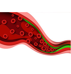 Cholesterol Blood Artery Vessel Vein 3d Anatomy