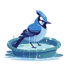 Cute Blue Jay Water Isolated