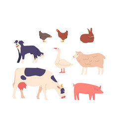 Set Of Farm Domesticated Animals Icons Cow Pig