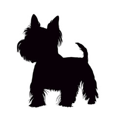 West Highland Terrier Dog Silhouette Isolated