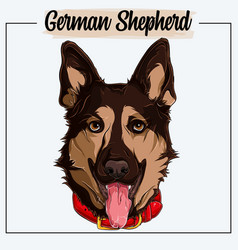 German Shepherd Face Isolated With A Red Collar