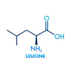 Icon With Leucine Formula Essential Amino Acid