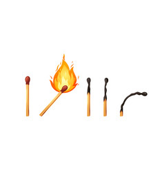 Burnt Match Stick With Fire Set Of Matchsticks