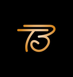 Luxury Letter Tb Or Bt Logo Design